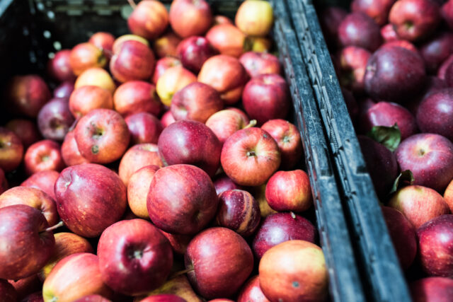 Apples