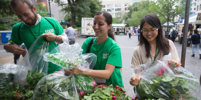 Greenmarket Rescue