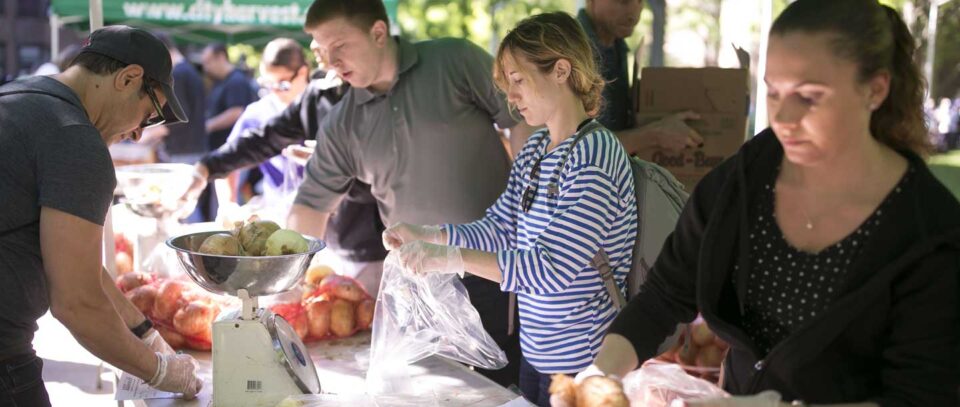 Individual Volunteers City Harvest