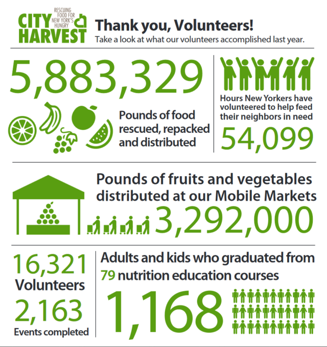 Volunteer Infographic