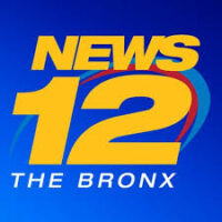 Nearly 800 Turkeys Given Away At NorthEast Bronx YMCA
