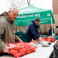 Need Help Finding Food?