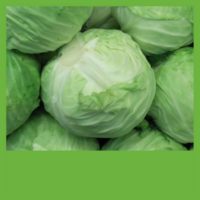 Cabbage