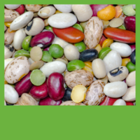 Beans and Legumes
