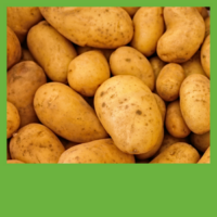 Potato