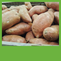 Sweet Potato