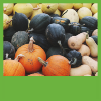Squash