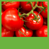 Tomatoes
