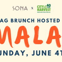 SONA Drag Brunch