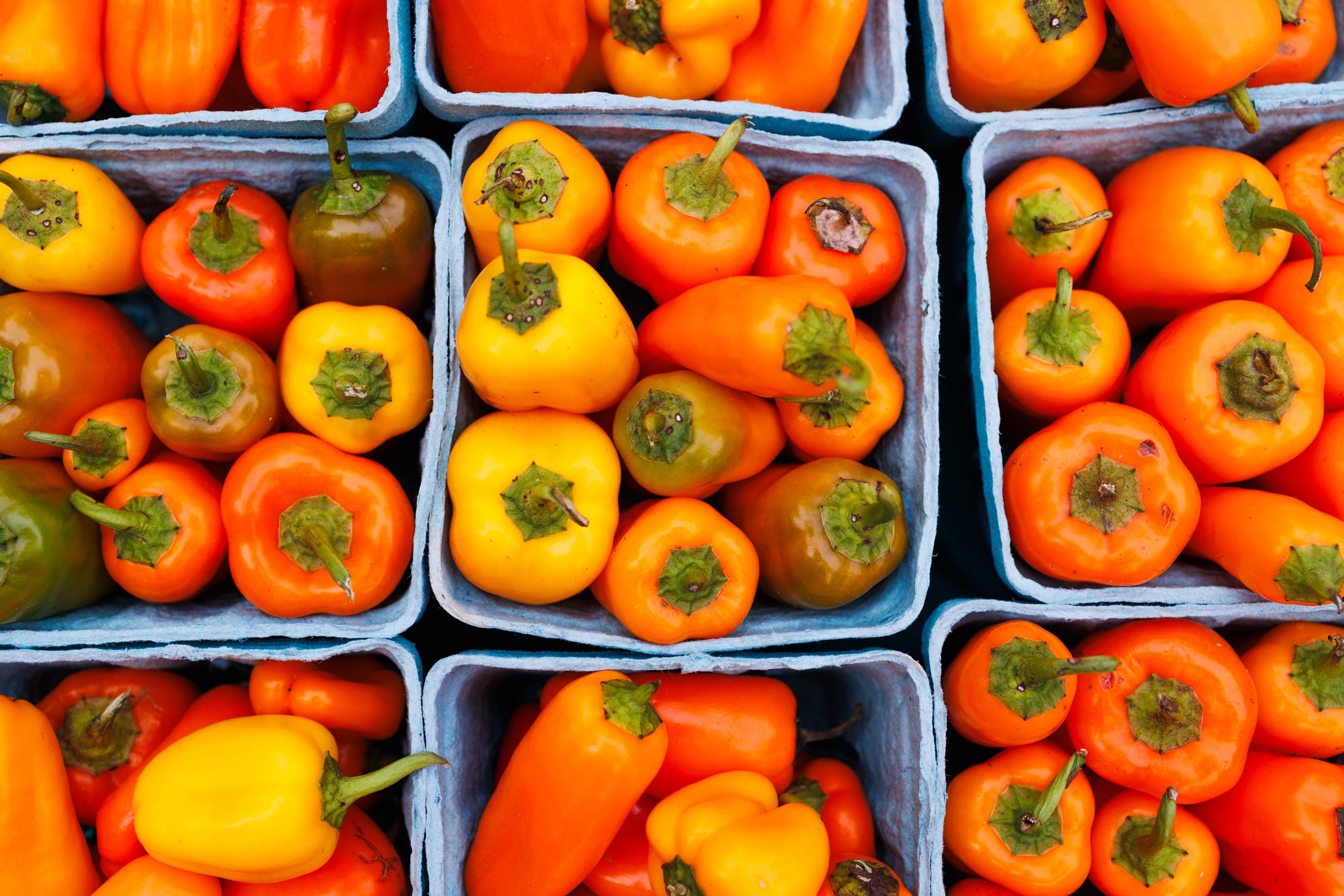 ample-table-city-harvest